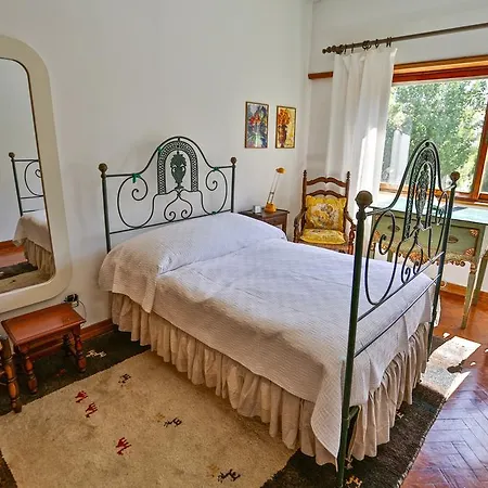 Large Portuguese Apartment Aveiro